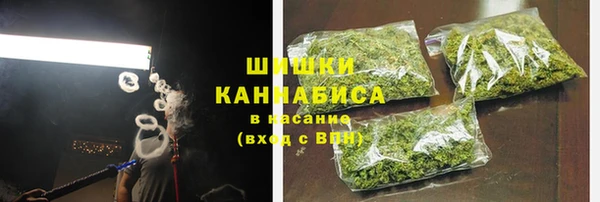 гидра Дмитриев