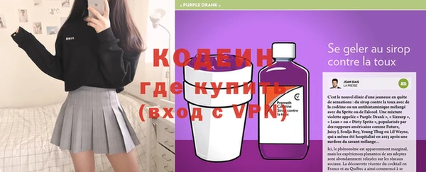 твердый Дмитров