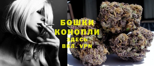 твердый Дмитров