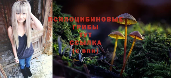 круглые Дмитровск