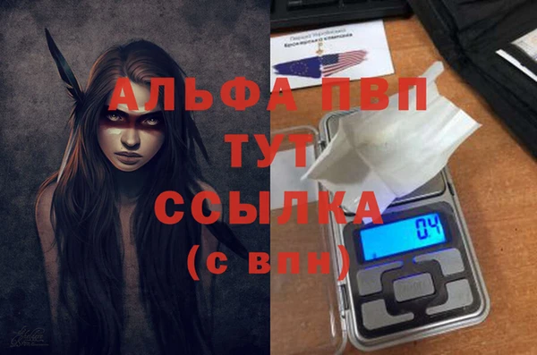 гидра Дмитриев