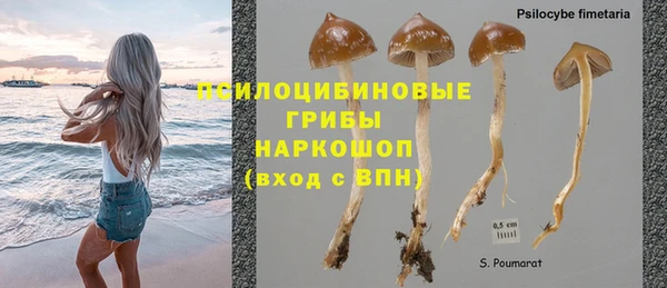 гидра Дмитриев